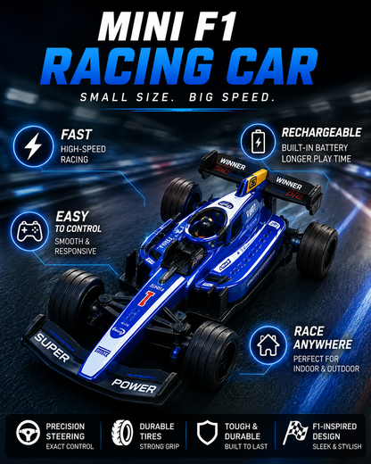 Mini F1 RC Car