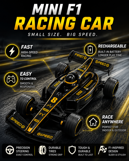 Mini F1 RC Car